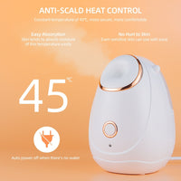 Facial Steamer Spa