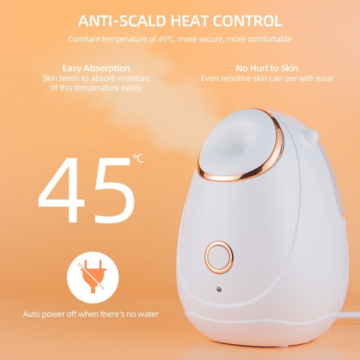 Facial Steamer Spa