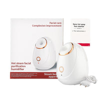 Facial Steamer Spa