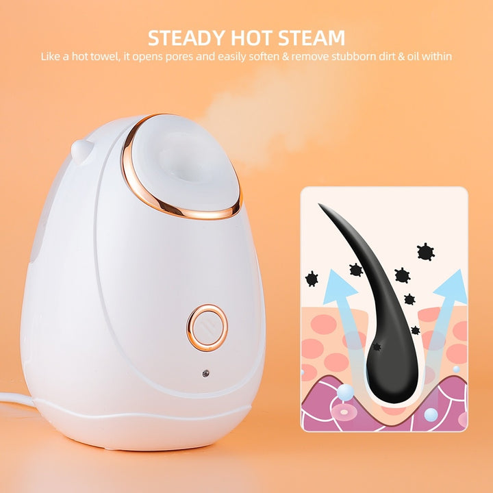Facial Steamer Spa
