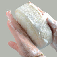 Natural Loofah Sponge