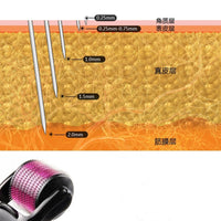 Micro Needle Roller